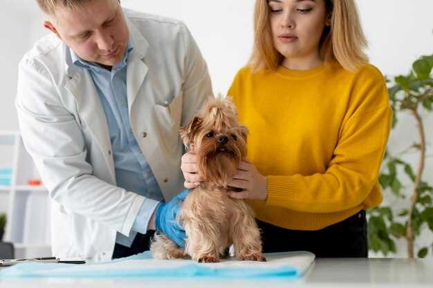 Losartan en perros dosis